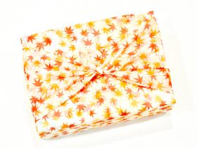 Snakku Subscription Box Review + Promo Code – May 2017