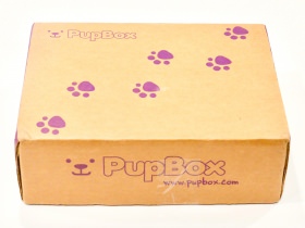 PupBox Subscription Box Review + Coupon Code – July 2017