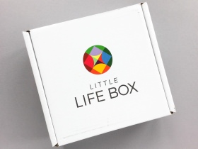 Little Life Box Subscription Box Review + Promo Code – August 2017