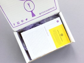 Yogi Surprise Jewelry Subscription Box Review + Coupon Code – August 2017