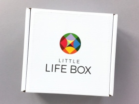 Little Life Box Subscription Box Review + Promo Code – September 2017