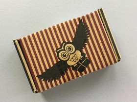 Fandom of the Month Club Review + Coupon Code – August 2017