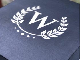 Wine Down Box Review + Coupon Code -October 2017