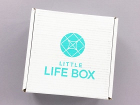 Little Life Box Subscription Box Review + Promo Code – December 2017