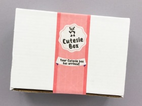 Cutesie Box Subscription box Review + Coupon Code – Janaury 2018
