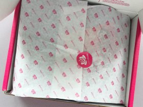 YogaClub Subscription Box Review + Coupon Code – March 2018