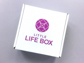 Little Life Box Subscription Box Review + Promo Code – June 2018