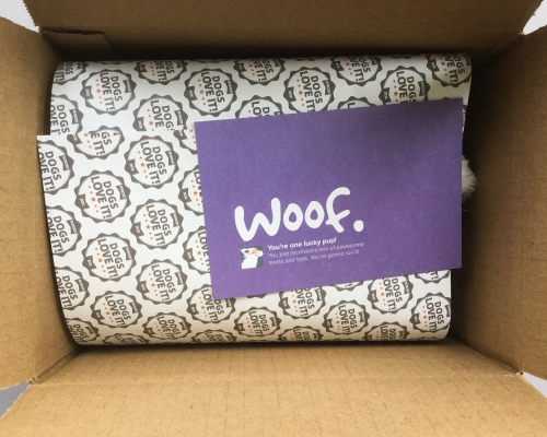 Bowzer Box Review + Discount Code – June 2018