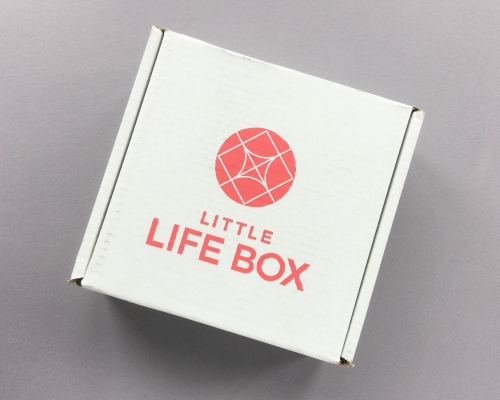 Little Life Box Subscription Box Review + Promo Code – July 2018