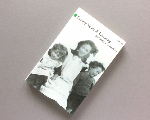 MyIrelandBox Review – July 2018