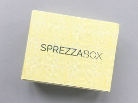 SprezzaBox Subscription Box Review + Coupon Code – August 2018
