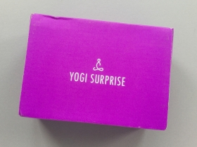 Yogi Surprise Subscription Box Review + Coupon Code – August 2018