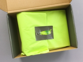 MyIrelandBox Review – August 2018