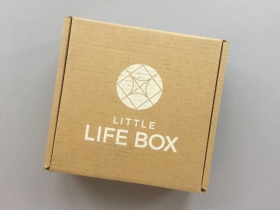 Little Life Box Subscription Box Review + Promo Code – August 2018 Little Life Box Subscription Box Review + Promo Code – August 2018
