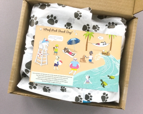 Woof Pack Subscription Box Review + Coupon Code – August 2018
