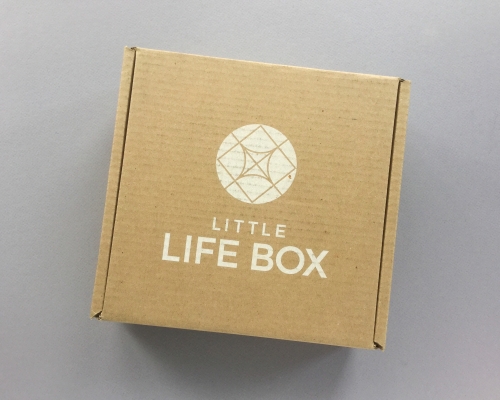 Little Life Box Subscription Box Review + Promo Code – September 2018
