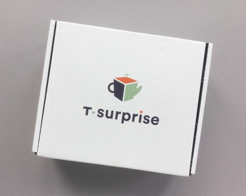 T.Surprise Subscription Box Review – August 2018