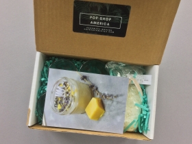 Pop Shop America Subscription Box Review – September 2018