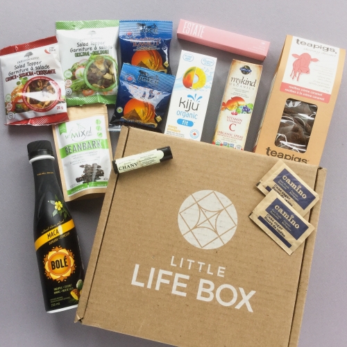 Little Life Box Subscription Box Review + Promo Code – October 2018