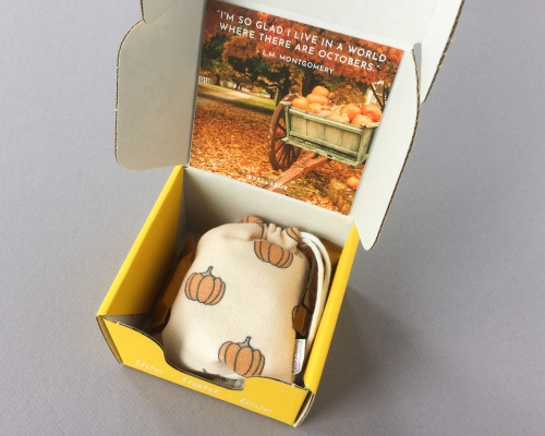 Vellabox Subscription Box Review + Coupon Code – October 2018