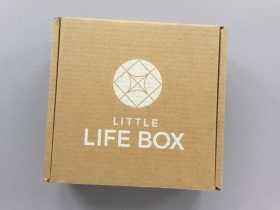 Little Life Box Subscription Box Review + Promo Code – October 2018