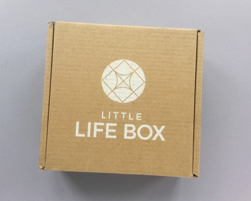 Little Life Box Subscription Box Review + Promo Code – October 2018