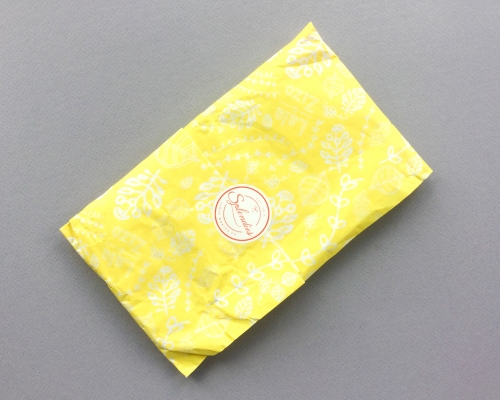 Splendies Subscription Box Review – October 2018