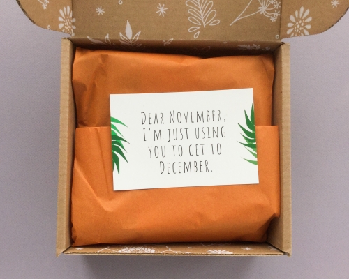 Little Life Box Subscription Box Review + Promo Code – November 2018