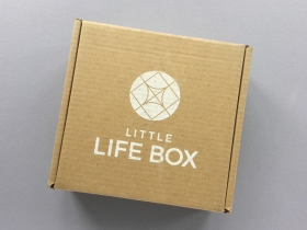 Little Life Box Subscription Box Review + Promo Code – November 2018