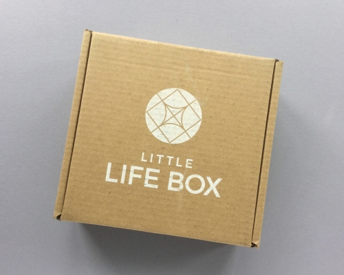 Little Life Box Subscription Box Review + Promo Code – November 2018
