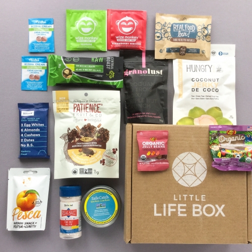Little Life Box Subscription Box Review + Promo Code – November 2018