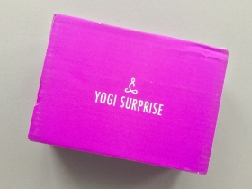 Yogi Surprise Subscription Box Review + Coupon Code – October 2018