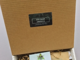 Pop Shop America Subscription Box Review – October 2018