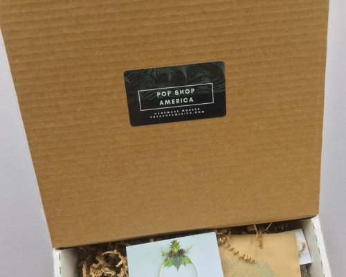 Pop Shop America Subscription Box Review – October 2018