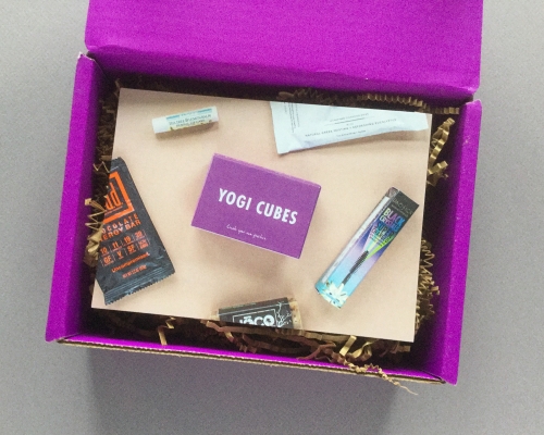 Yogi Surprise Subscription Box Review + Coupon Code – December 2018