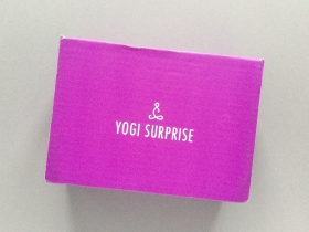 Yogi Surprise Subscription Box Review + Coupon Code – November 2018