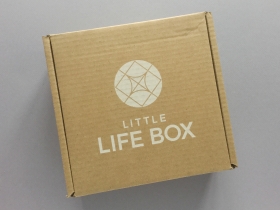 Little Life Box Subscription Box Review + Promo Code – December 2018
