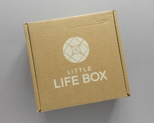 Little Life Box Subscription Box Review + Promo Code – December 2018