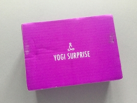 Yogi Surprise Subscription Box Review + Coupon Code – December 2018