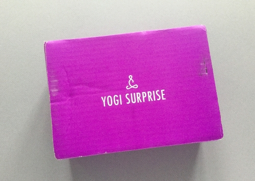 Yogi Surprise Subscription Box Review + Coupon Code – December 2018