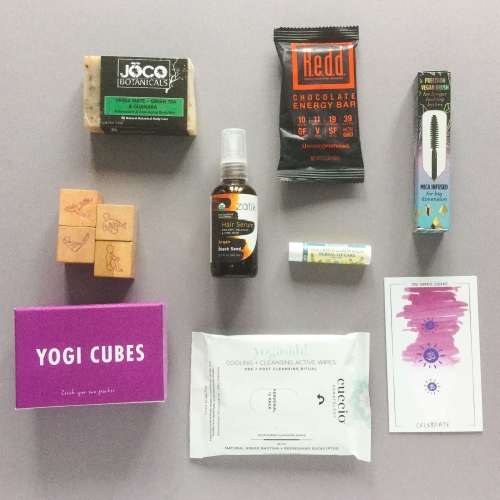 Yogi Surprise Subscription Box Review + Coupon Code – December 2018