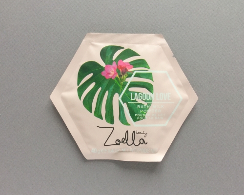 Little Life Box Subscription Box Review + Promo Code – December 2018