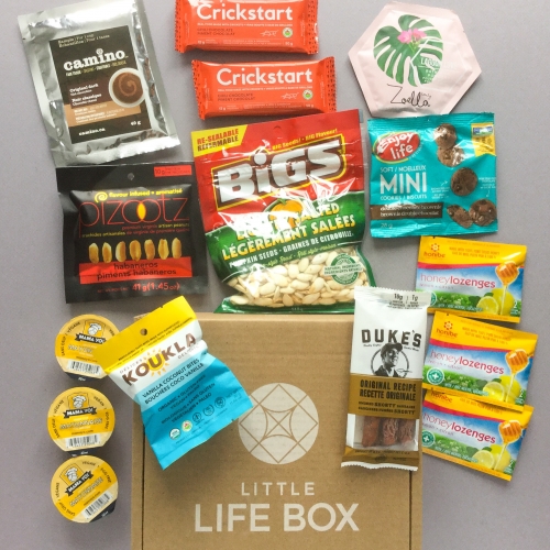Little Life Box Subscription Box Review + Promo Code – December 2018