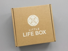 Little Life Box Subscription Box Review + Promo Code – January 2019