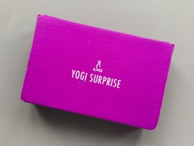 Yogi Surprise Jewelry Subscription Box Review + Coupon Code – January 2019