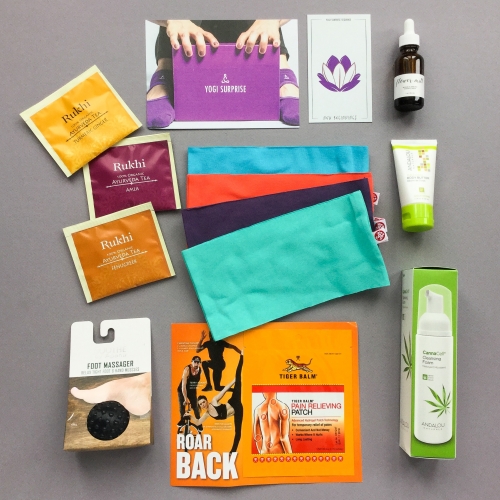 Yogi Surprise Subscription Box Review + Coupon Code – January 2019