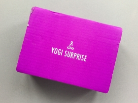 Yogi Surprise Subscription Box Review + Coupon Code – January 2019