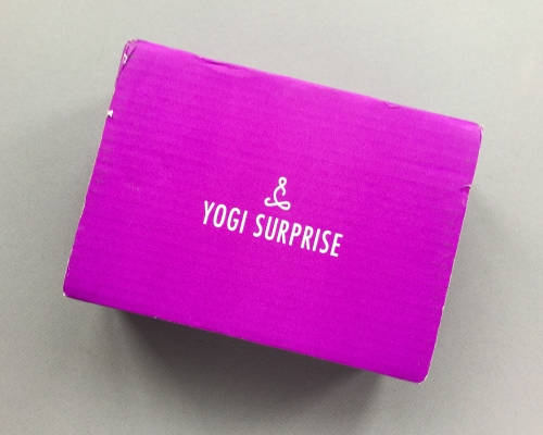 Yogi Surprise Subscription Box Review + Coupon Code – January 2019