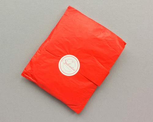 Splendies Subscription Box Review – January 2018