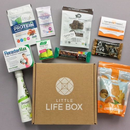 Little Life Box Subscription Box Review + Promo Code – February 2019